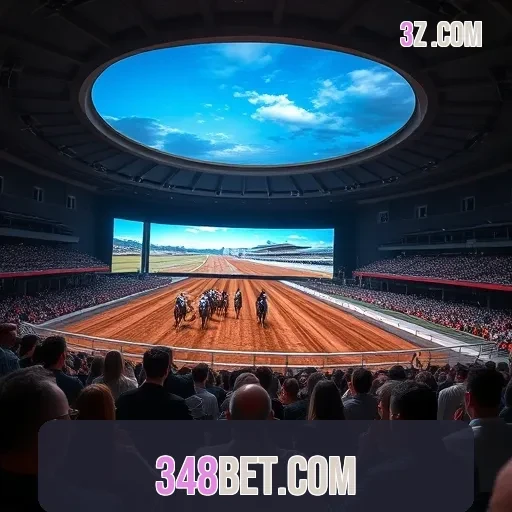 348BET.COM Trading